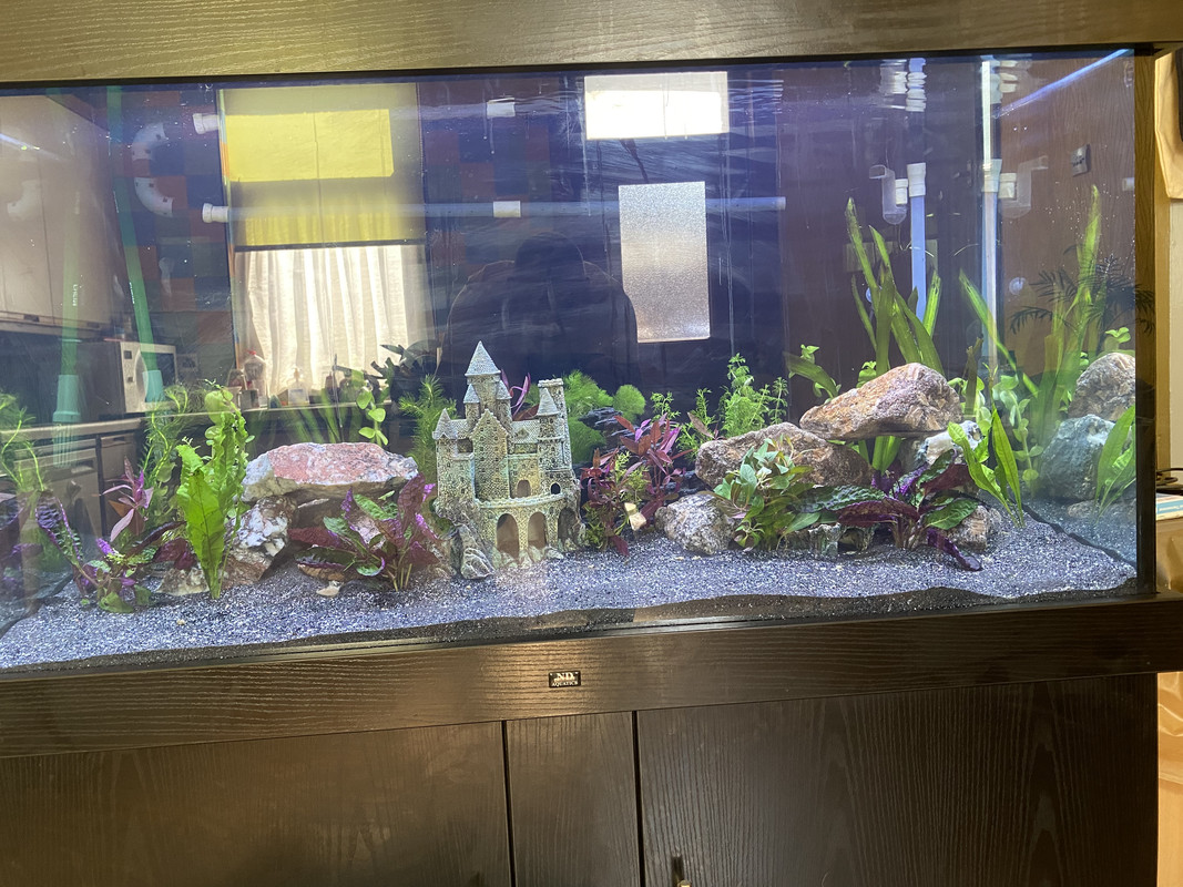 765DBBCE-B1CA-48C2-B5C4-0ED904A4FE72