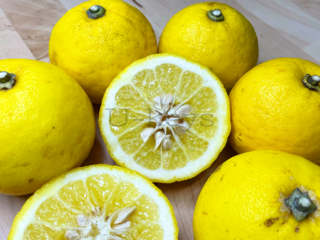 C2EEDF12-E4B1-464A-B011-F6403A71D2D9