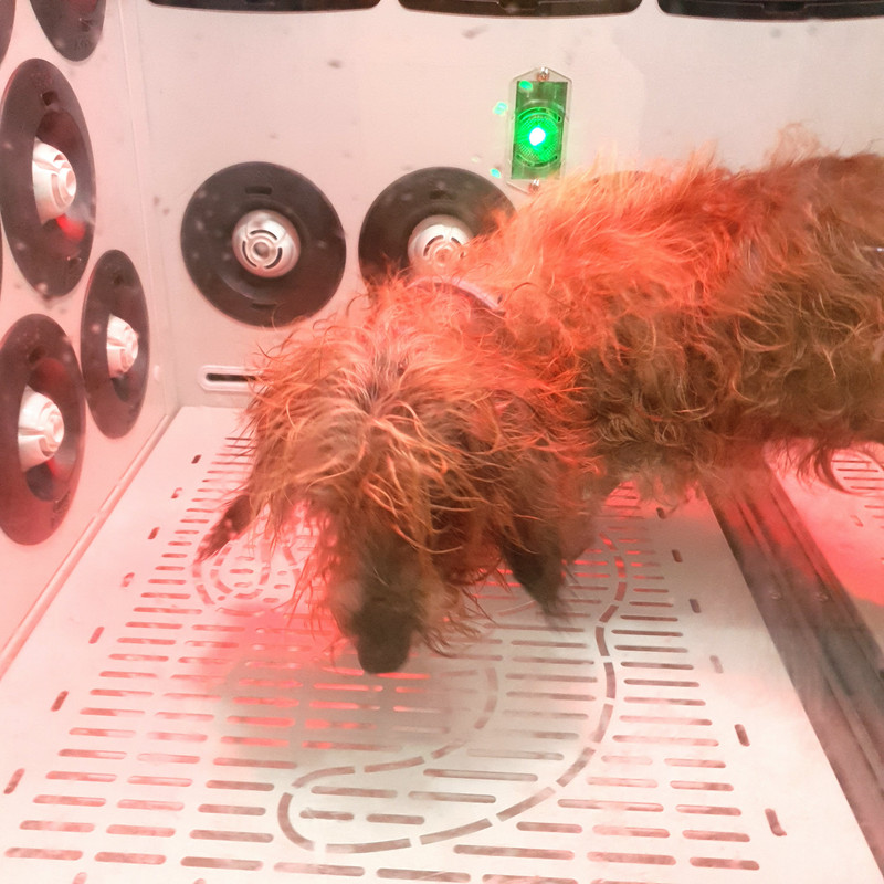 [Image: 20210921-120032.jpg]