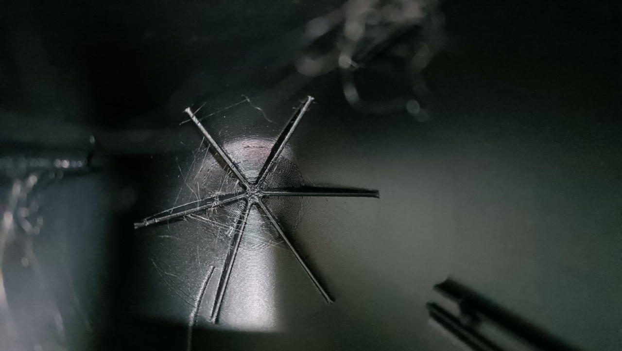 IMG_20241208_130210 (Medium)