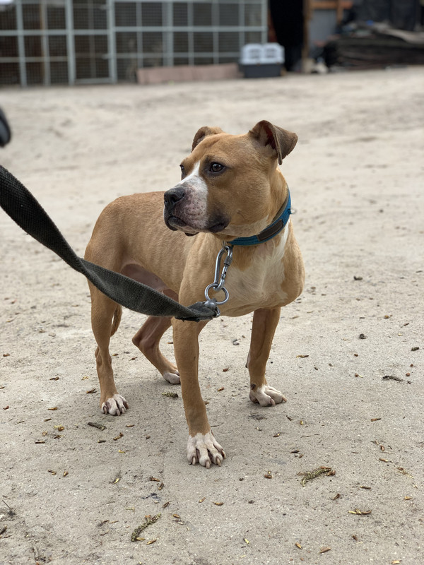 BCEF0B79-B4FB-4556-840B-943C0C0E33B3