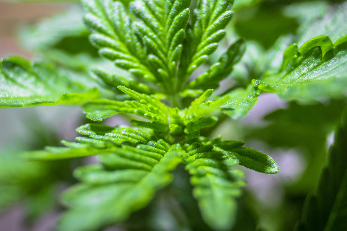 seguimientoindoor1.01 (13 de 13)