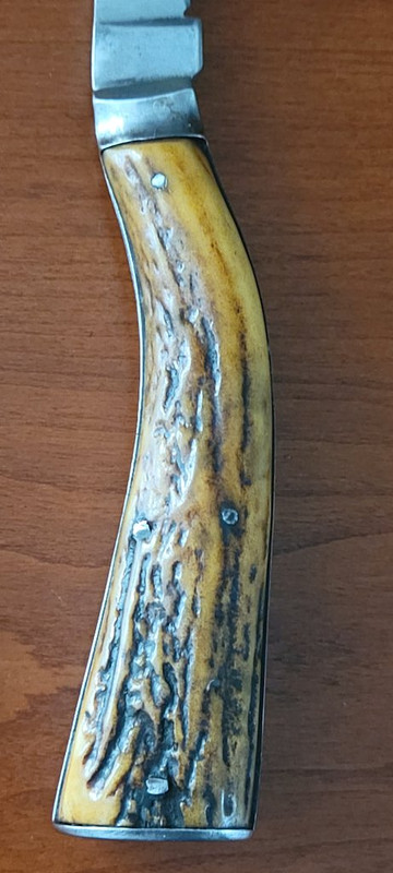 20240607-191835.jpg