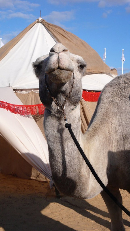 71772074-608D-4E76-A6C3-ABE089F762D3