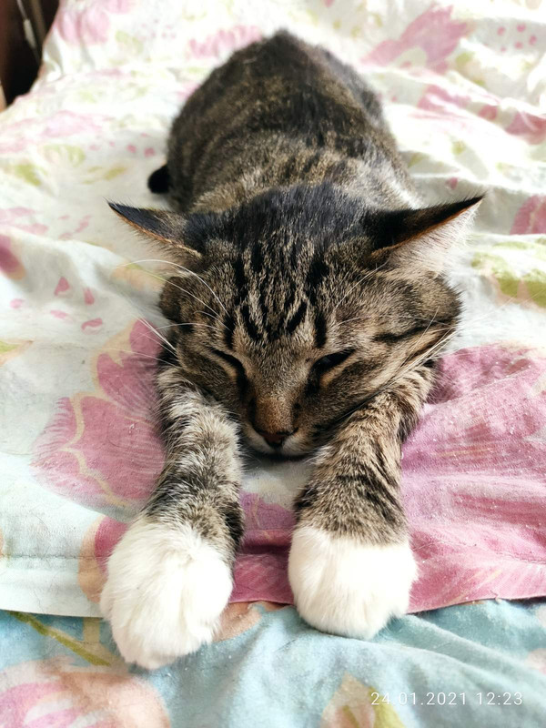 изображение_viber_2021-01-24_12-23-50