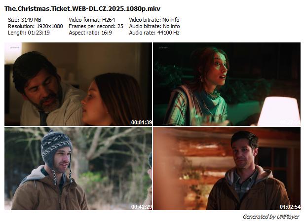 Vánoční los lásky / The Christmas Ticket (2025)