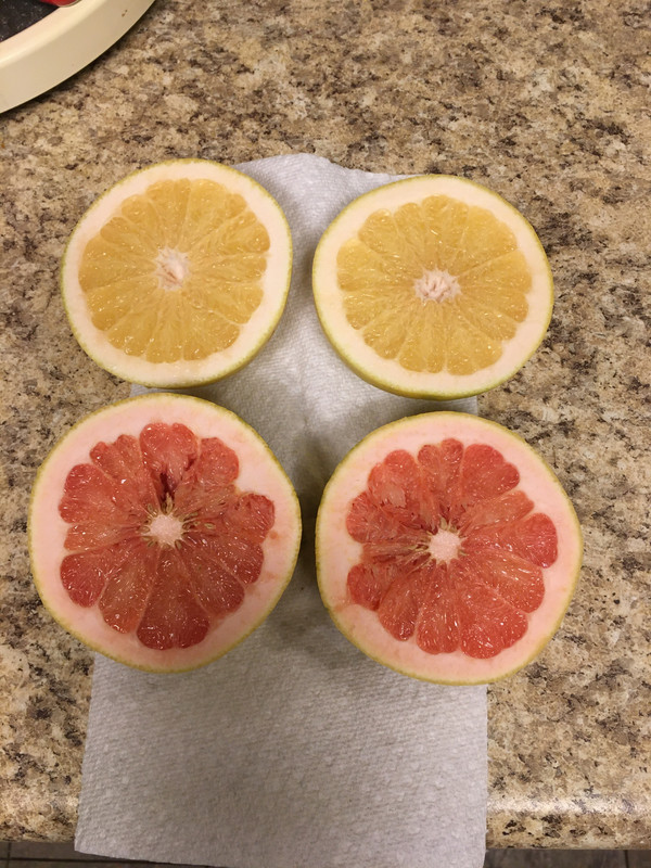 C246CB58-F1F0-46DC-B8EA-F4A3DC345AD0