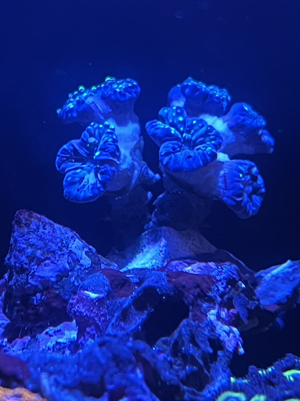 C227D38C-EF61-467A-9CE8-4EA98B2BD91A