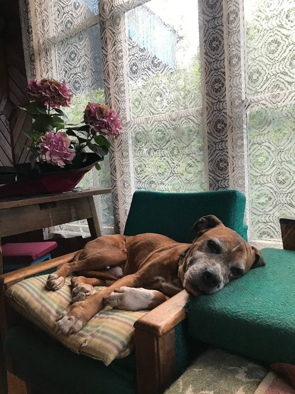 39D3C32B-199D-4817-91CB-640407C57193