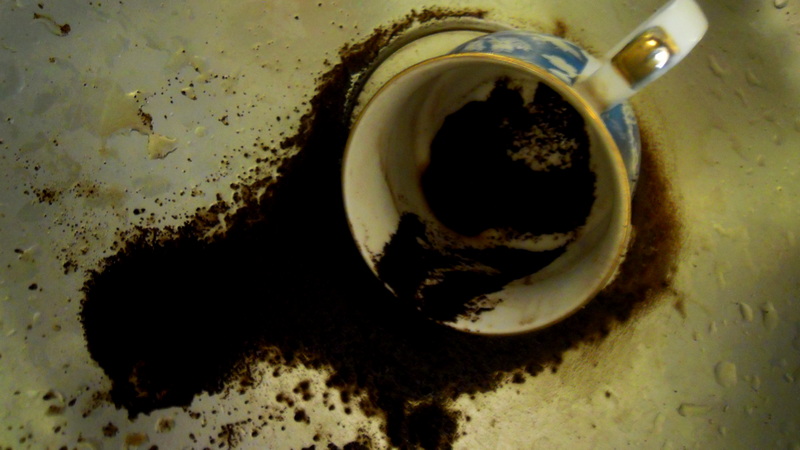 DSCN4619.jpg
