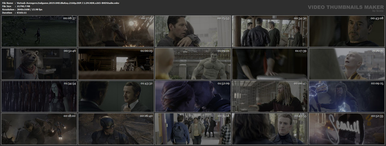 Vietsub-Avengers-Endgame-2019-UHD-Blu-Ray-2160p-DDP-7-1-DV-HDR-x265-BHDStudio-mkv.jpg