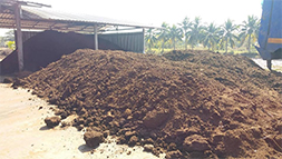 ขี้วัว_๒๐๐๙๒๕_5 c