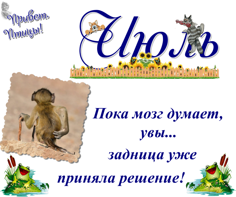 https://i.postimg.cc/5NTjqX6t/04-07.png
