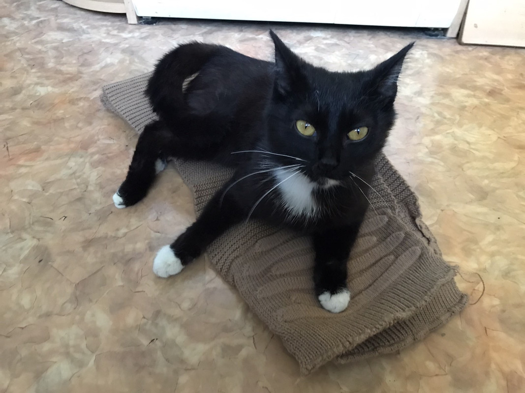 5975AB4B-5971-4F6D-858F-612AFBDBFFB9