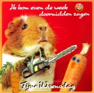 week-doorzagen
