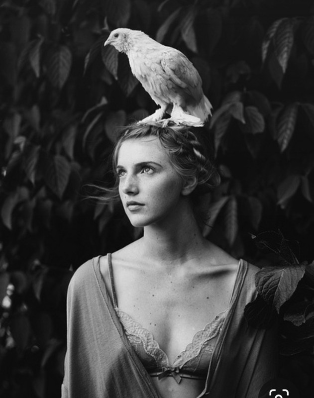 Screenshot_20240329_231232_Pinterest