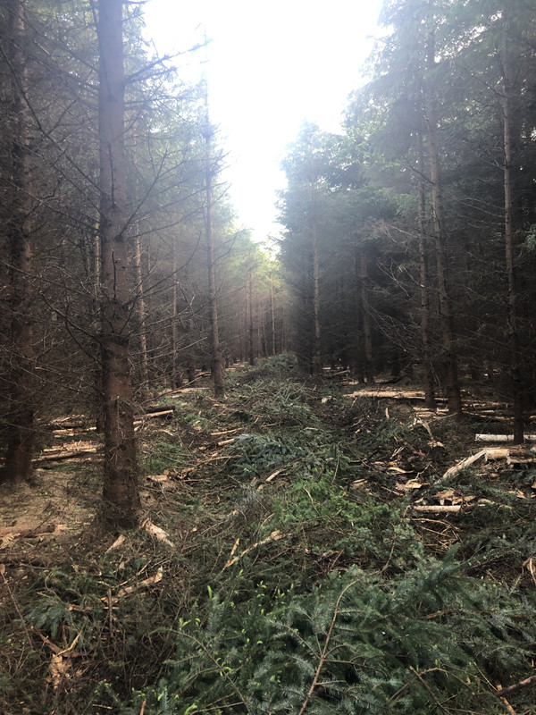 90886CFE-C0D7-4E0B-B3DA-EF195213EB54