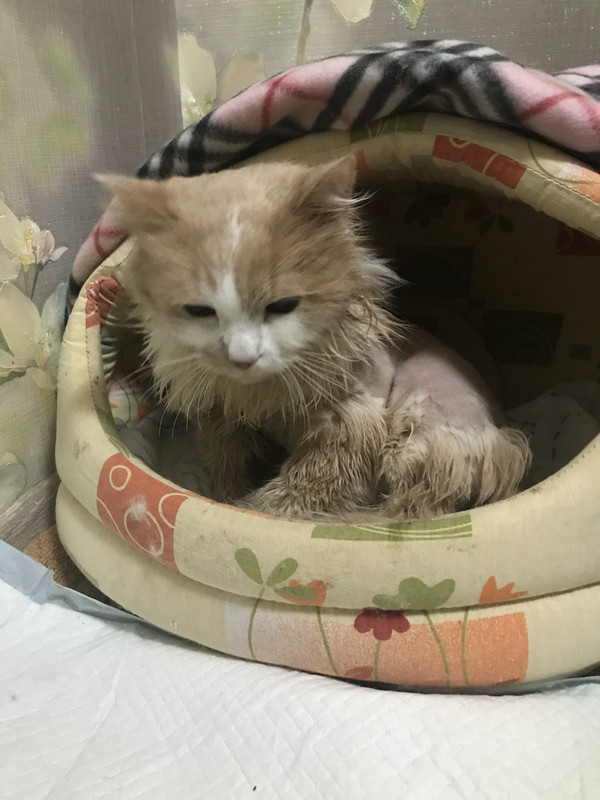 76782775-0CE7-4946-B3D3-8D62EC7B57AC