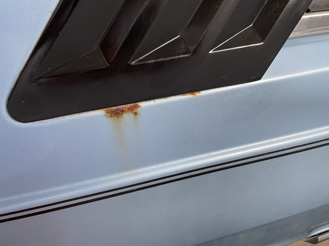 0A05028D-D3B2-41D3-A4B4-F61855DD2A2F