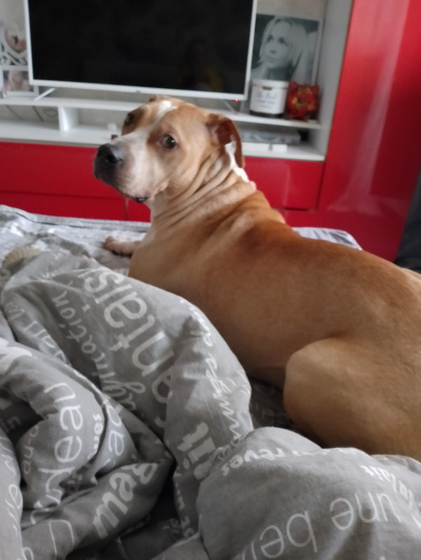 994EA9A9-D3DC-4718-B935-235674CE52D3