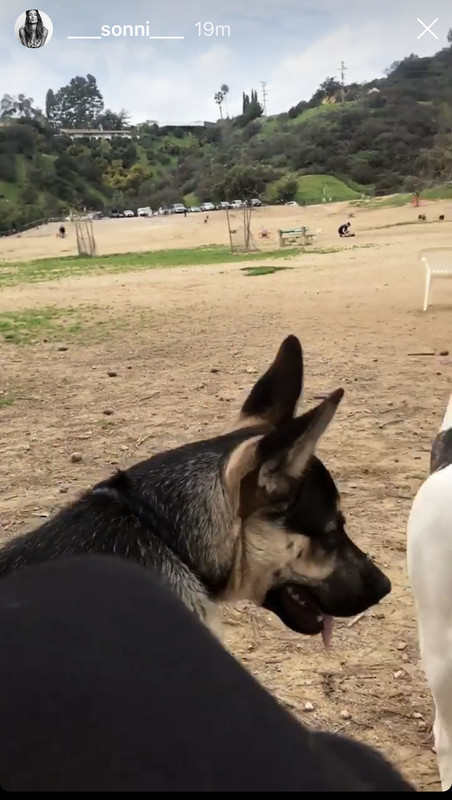 35DBB5BC-610D-414F-A470-EA779E191E31