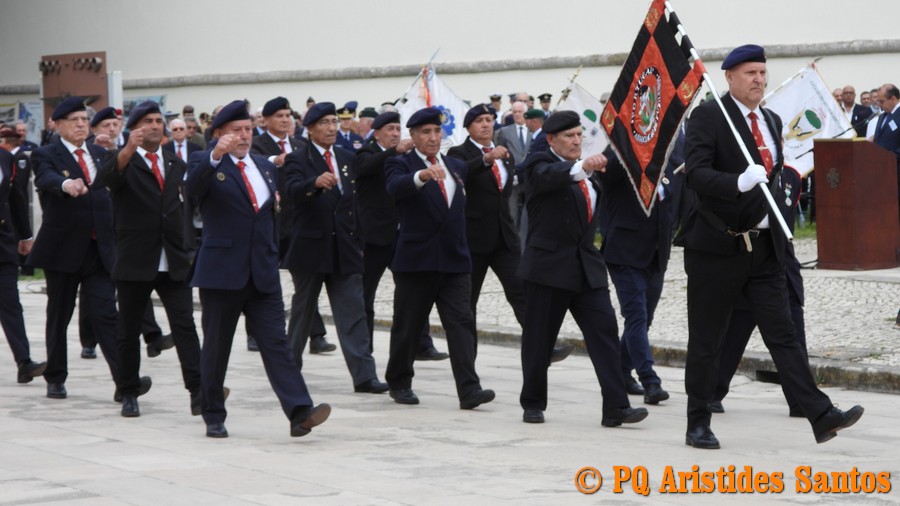 505950609-2427589004289943-2686650287224409166-n