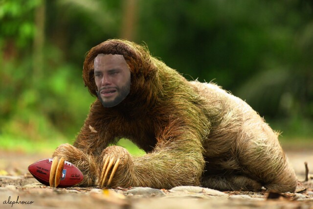 sloth-dak.jpg