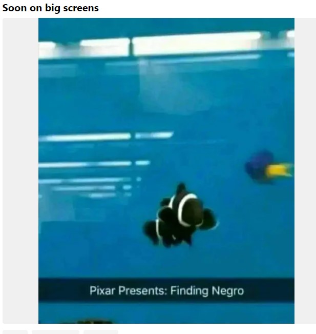 negro.jpg