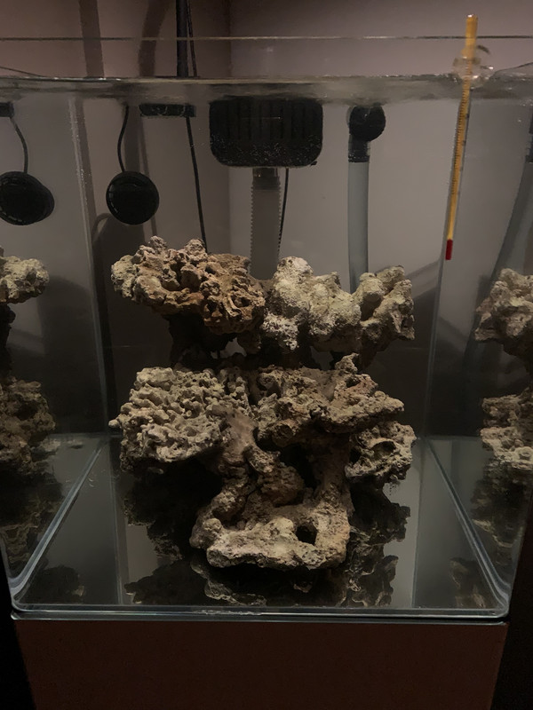 6CAC1C67-6857-408F-A276-C1949FF809CF