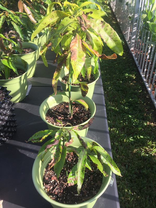 6059E2B3-9D68-4358-A95B-1AFCE66B2027