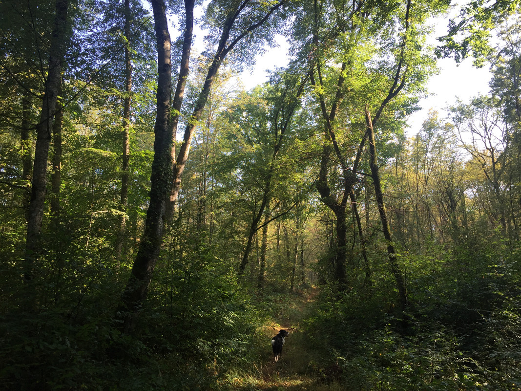 B6D3BCD0-67AD-4B6C-9CA2-9D3D5F956822