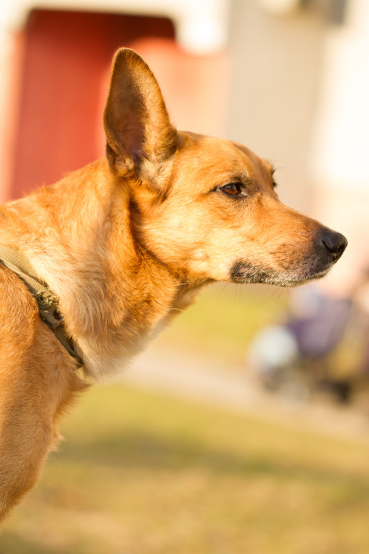 без имени-5318