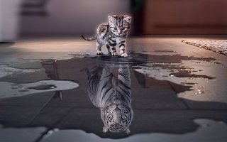 JavaScript Proxies and Reflection