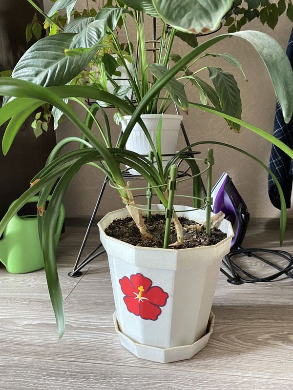 71884031-C3C2-47E1-85D1-4C4FE2270026