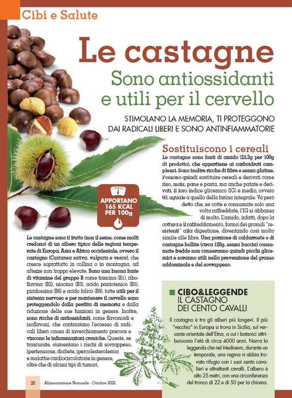 Alim Nat Ott 2022 (3)