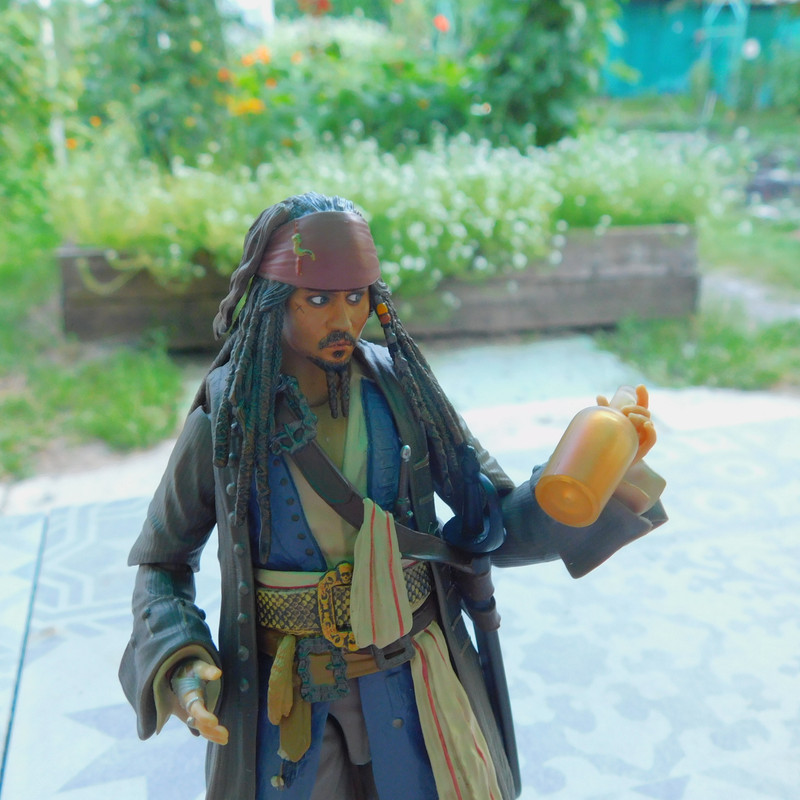 Дачно-Харлинский июнь-июль 2024 432