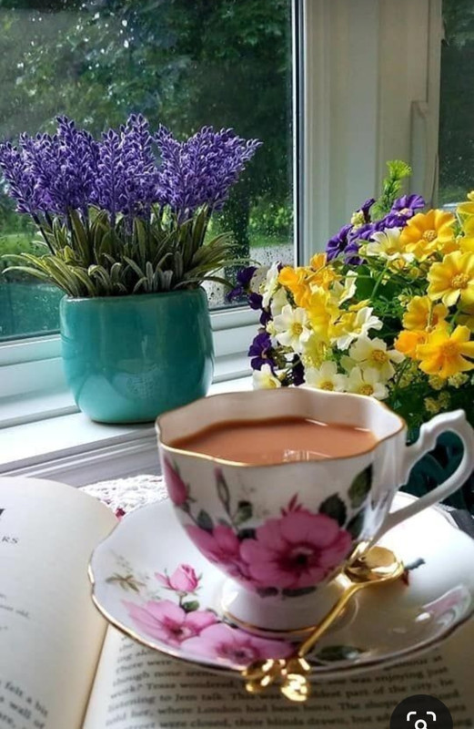 Screenshot_20230623_225644_Pinterest