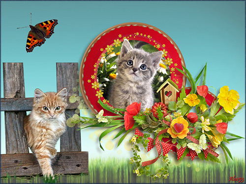 poes-met-kitten-in-bloemen-cl