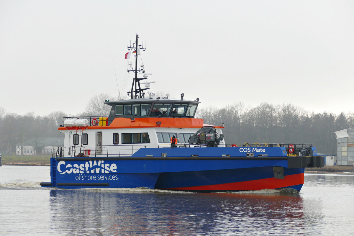 COS Mate (OK-060223-2)