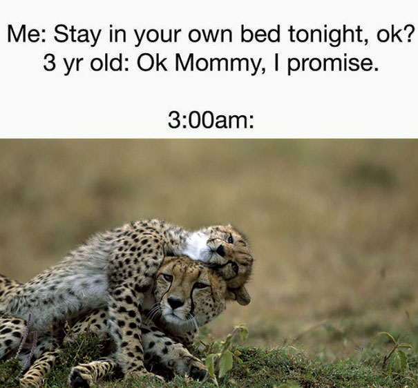 sleep_in_own_bed_to_3_yo.jpg