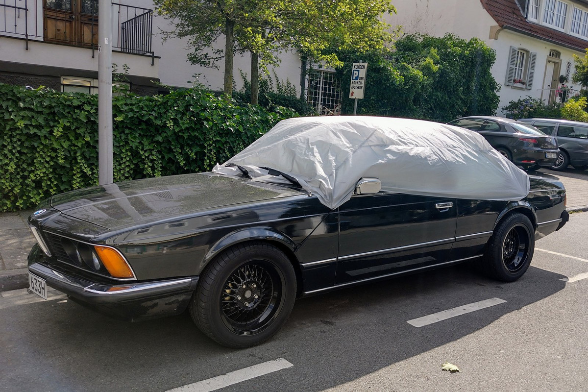 IMG-20220805-162216036-HDR-2.jpg