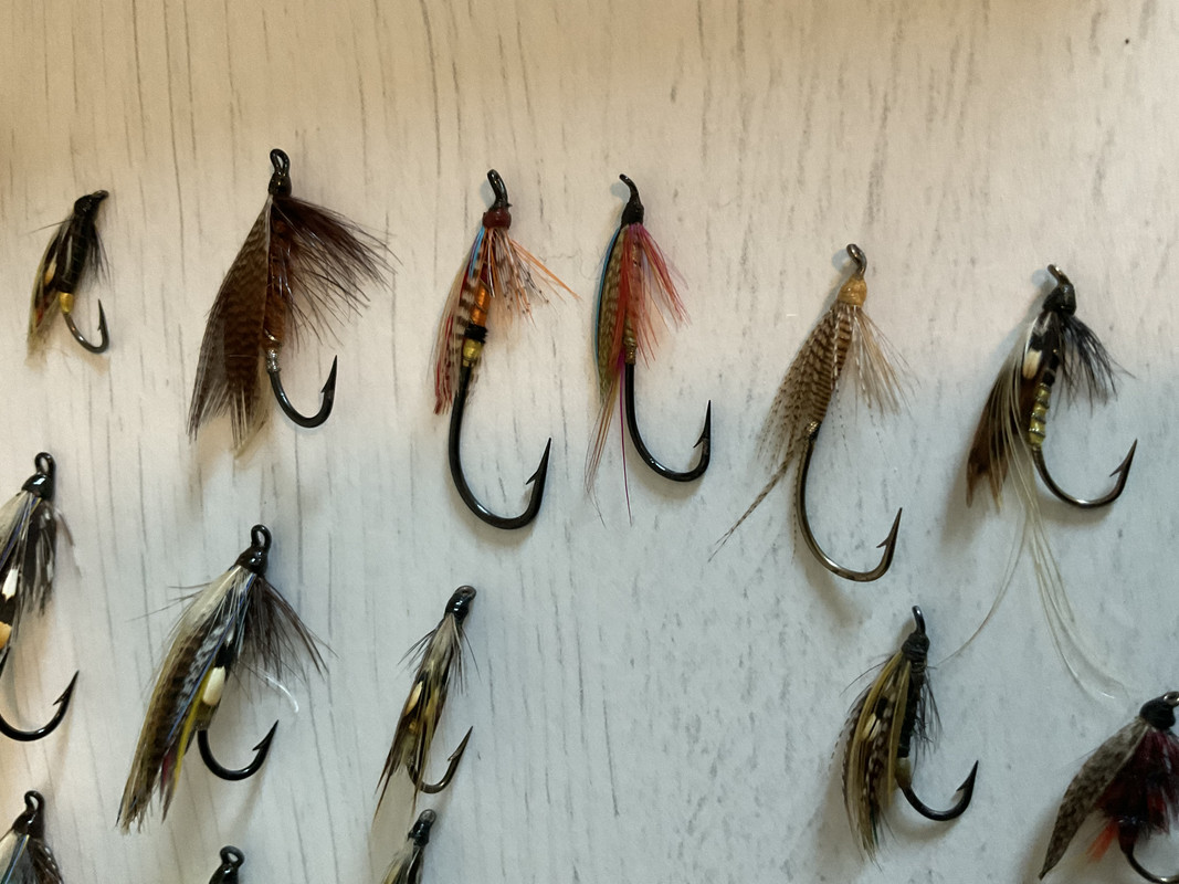 FC366B67-5E29-421E-8C42-5EE9608A6996