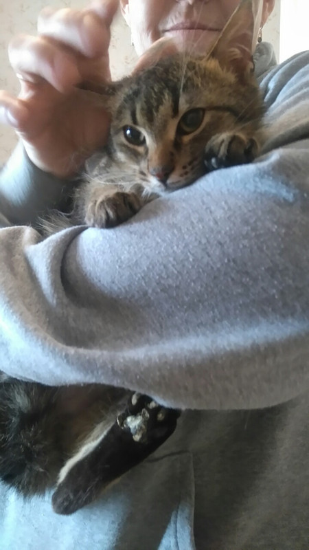 IMG-ee8c9e627af39c9287ca4ebc121f4906-V