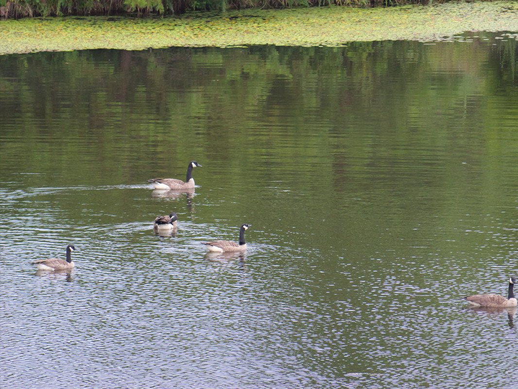 P1014740.jpg