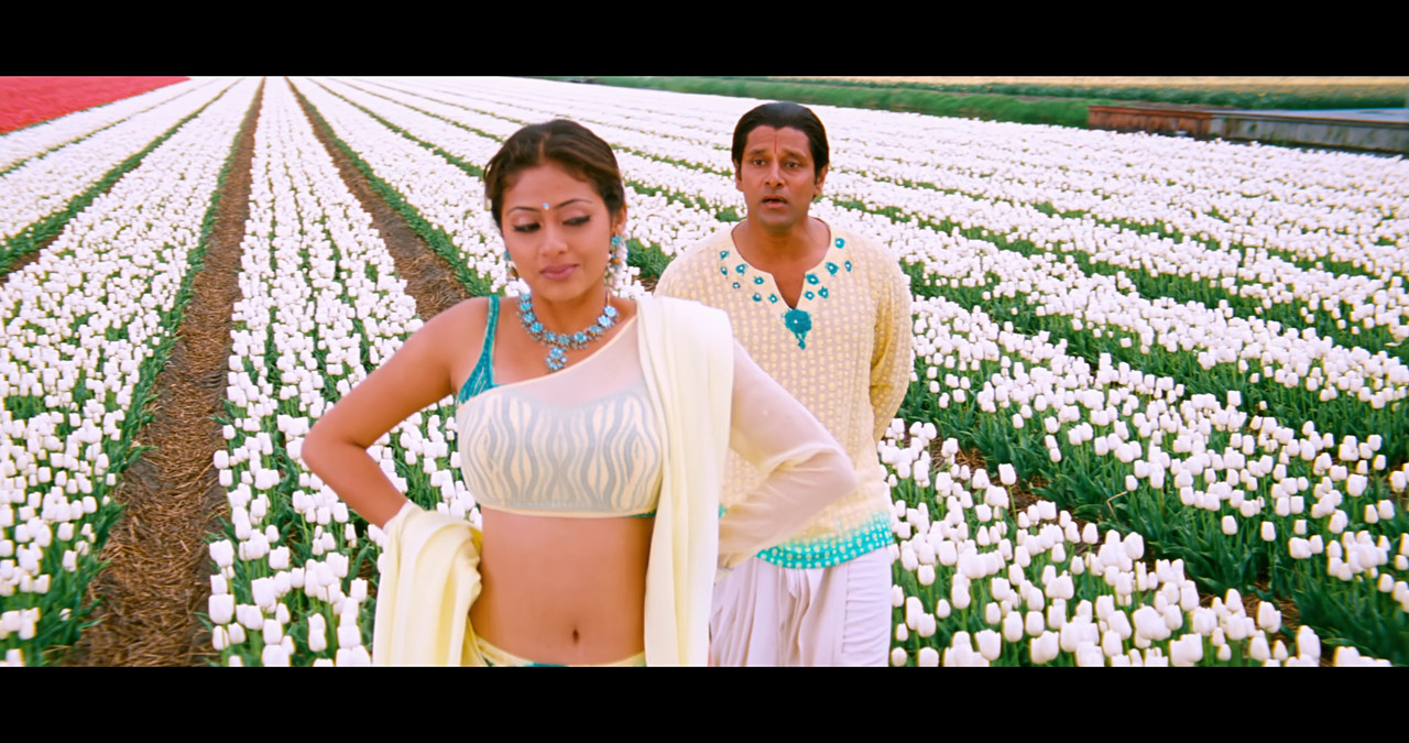 VideoCapture_20241122-195602