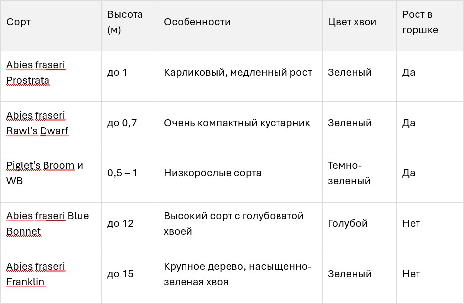 Таблица. Сколько в высоту достигают разные сорта пихты Фразера