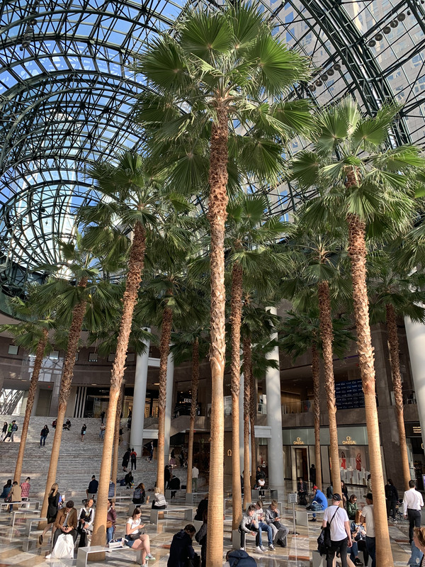 3C6E2302-AFFA-4847-AA21-9816C2E8AC81