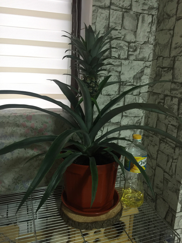 3059F911-B292-4A80-84AE-8B107C4FB6F5