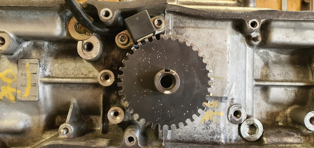 20230927_100309 (Custom)