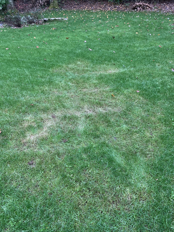 8E8BEDEC-5CEE-48DF-B7CC-C19369B0BC44